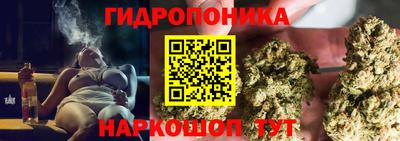 гашик Аргун