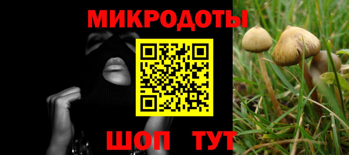 Ачинск  Галлюциногенные грибы ЛСД  купить наркотик  Вход с VPN 